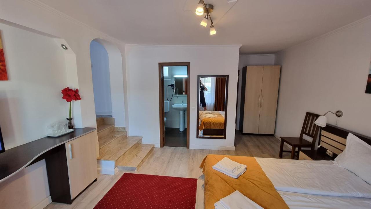 Vila Parc Cluj-Napoca Exterior foto